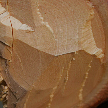 Sandal Wood