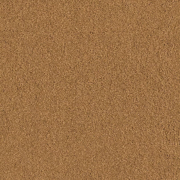 Mochetă Premium Coco Vision