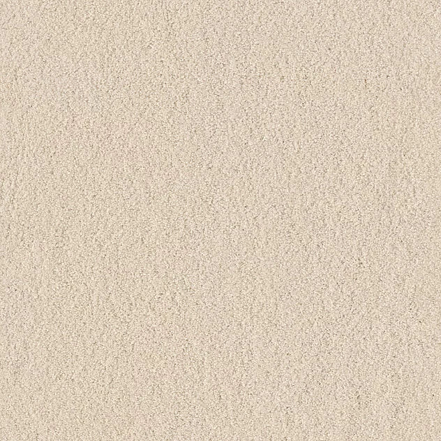 Mochetă Premium Coco Vision
