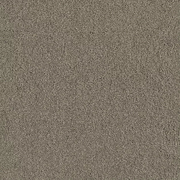 Mochetă Premium Coco Vision
